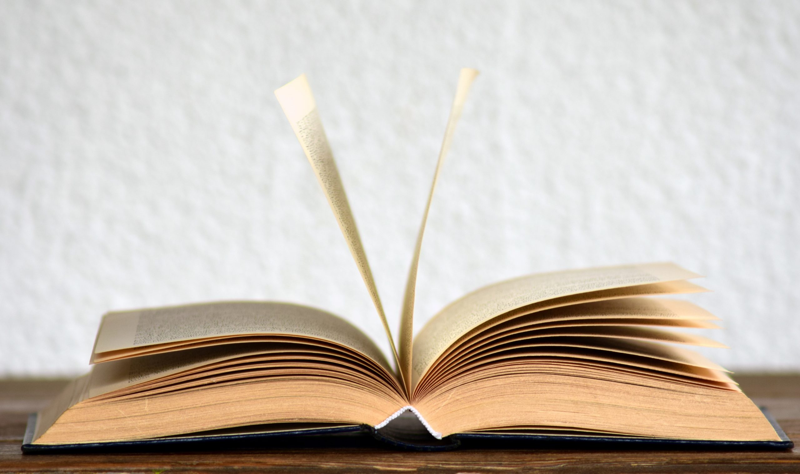 lire l'illusion du temps à livre ouvert