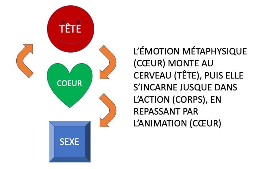 travaux opératifs