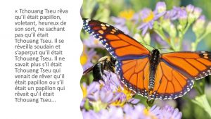 citations sur la non dualité
